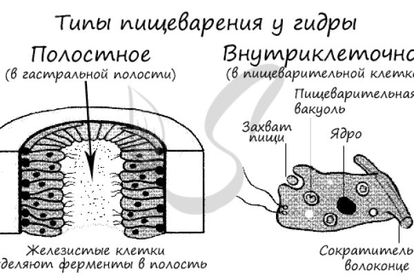 Кракен в россии наркотик